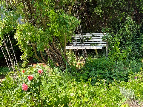 White bench in an idyllic garden