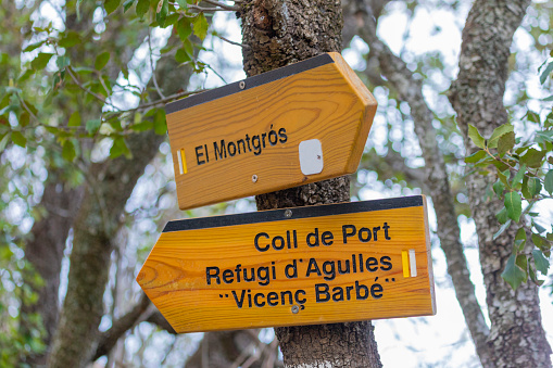 A wooden black and white sign attached to a large tree with the words private woodland keep out on it.