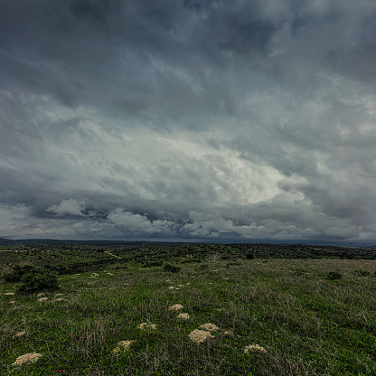 Developing severe storm thunderhead (cumulonimbus), billowing storm clouds forming over Riverland bush: exploding upward, majestic power, threatening, anvil