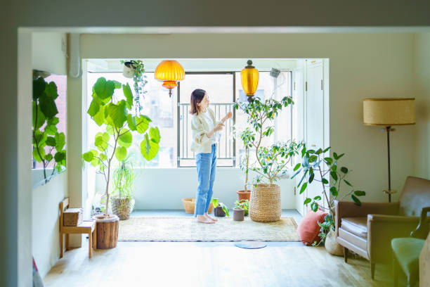 観葉植物に水をまく女性 - 室内装飾 ストックフォトと画像