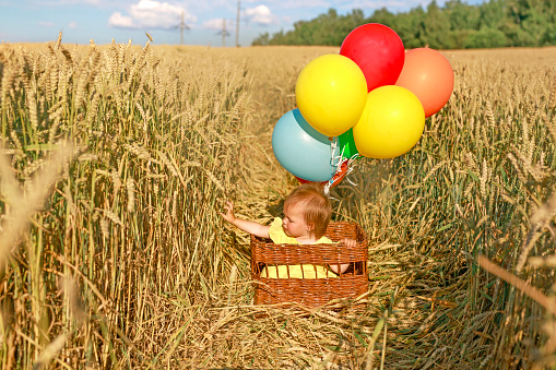 Toddler is sitting in a basket with colorful balloons in a field of wheat. World Children's Day Holiday. Freedom and the way to the future.