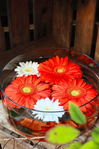 istock Cutely decorated flowers and garden accessories 1398119372