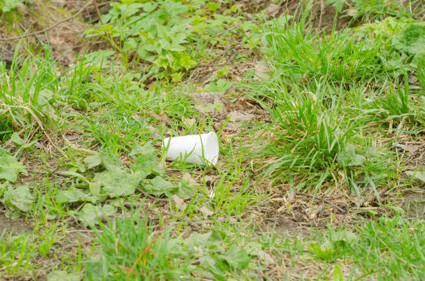 istock an empty plastic cup lies on the grass. 1398119447