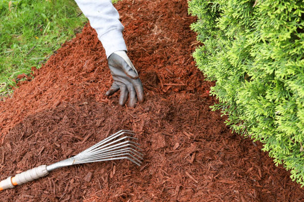 istock A garden rake in a pile of mulch 1398119672