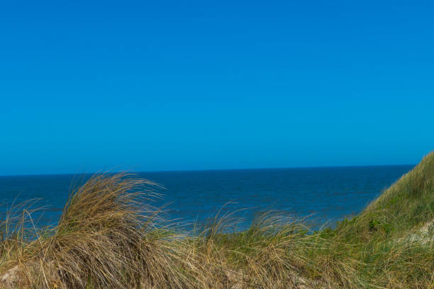 Sunset at the beach of Texel with sand dunes in the foreground during a beautiful fall day at the Wadden island.