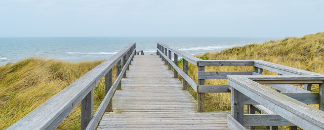 Wooden walkway through tall grass on the North sea coastline, on Sylt island, Germany, on a sunny summer day. Footpath through nature. Endless alley.