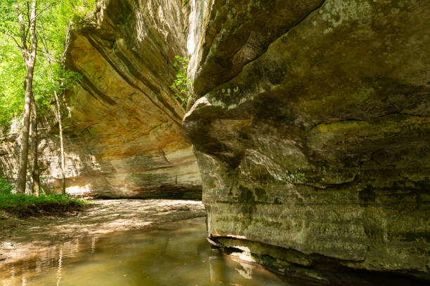istock Sandstone canyon walls. 1398127337