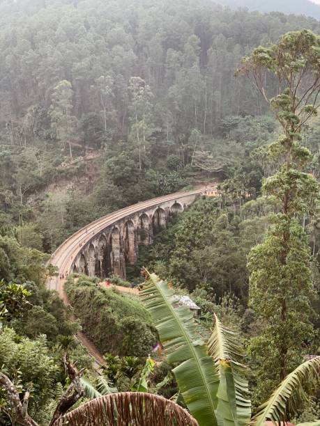 English bridge Nine-arch Bridge in the Ella town. Surrounded by a high trees and bananas palms and green tea bushes. On the front is a large green leaf of a banana palm. Foggy weather ella sri lanka stock pictures, royalty-free photos & images