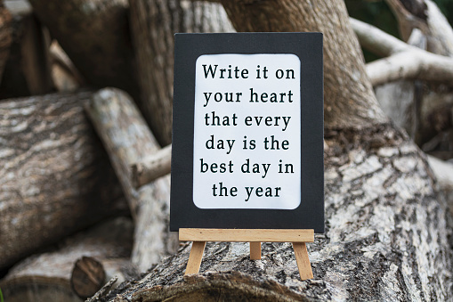 Motivational quote on a chalkboard isolated on tree trunk - Write it on your heart that every day is the best day in the year.