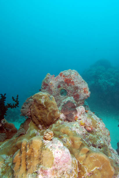 istock Yap stone money underwater 1398134473