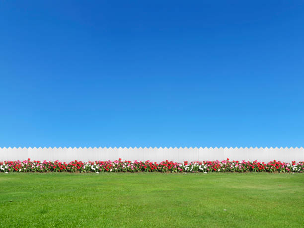 복사 공간이있는 푸른 하늘로 고립 된 빈 뒤뜰 - green grass lawn front or back yard 뉴스 사진 이미지