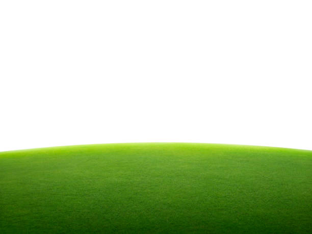 istock green grass field isolated on white background 1398139735