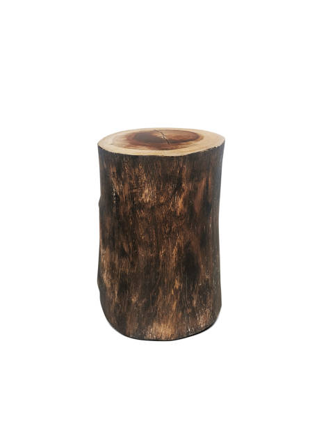 istock Wood log isolated on a white background 1398141042