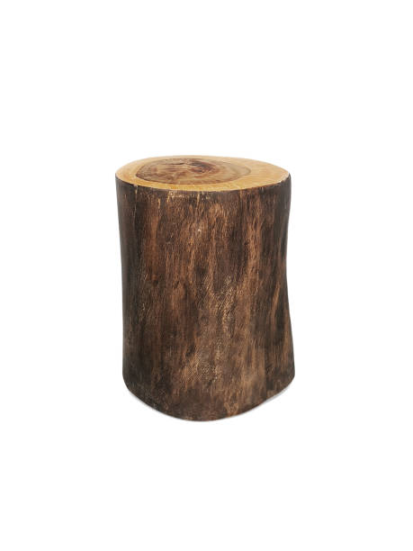 istock Wood log isolated on a white background 1398141045