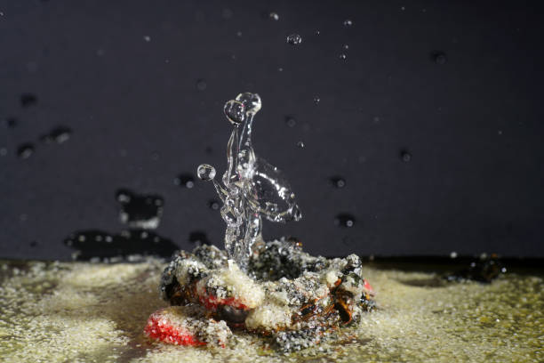 Impact of drops on a flat surface