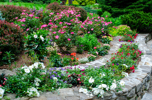 Stone garden path with pretty flowers, garden bench and Asian pottery stone garden