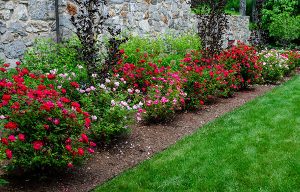 istock Pretty Garden Path with Flowers and Garden Bench 1398142686