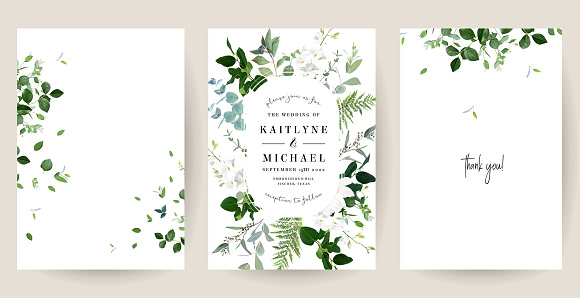 Classic white orchid flowers, eucalyptus, fern, salal, herbs, emerald greenery cards. Minimalist wedding invitations vector set. Floral summer watercolor frames. Elements are isolated and editable