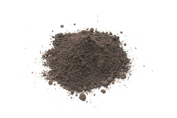istock Black land for plant isolated on white background. 1398144071