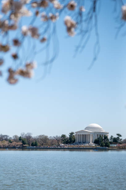 Jefferson Memorial in Washington DC Jefferson Memorial in Washington DC major us cities stock pictures, royalty-free photos & images