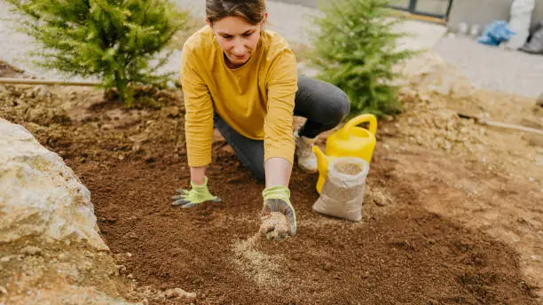 Photo of a young woman planting the seed of grass in her backyard