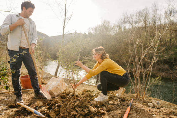 Tree Planting Along Rivers 2,000+ Planting Trees River Stock Photos, Pictures & Royalty-Free ...