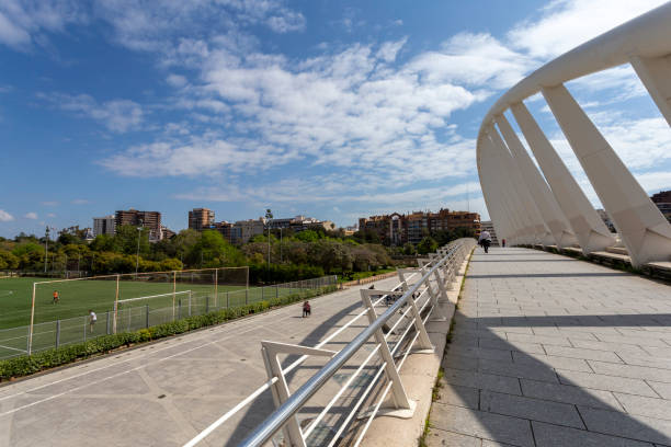 istock Pont de l'Exposicio bridge in Valencia 1398147473