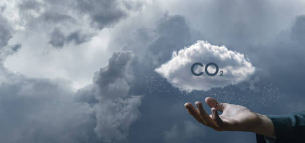 istock Concept protection of nature CO2. 1398148963