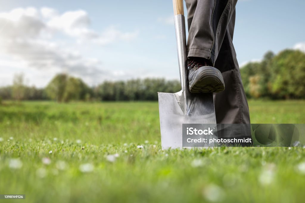 Groundbreaking on a green meadow Low angle view of a green meadow with a spade and the feet of a person. Concept for groundbreaking ceremony or gardening in general. Shovel Stock Photo