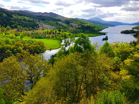 Forest woodlands and loch in Scotland