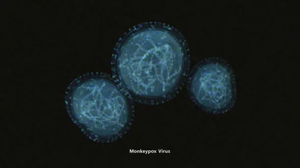 Photo of Monkeypox Virus