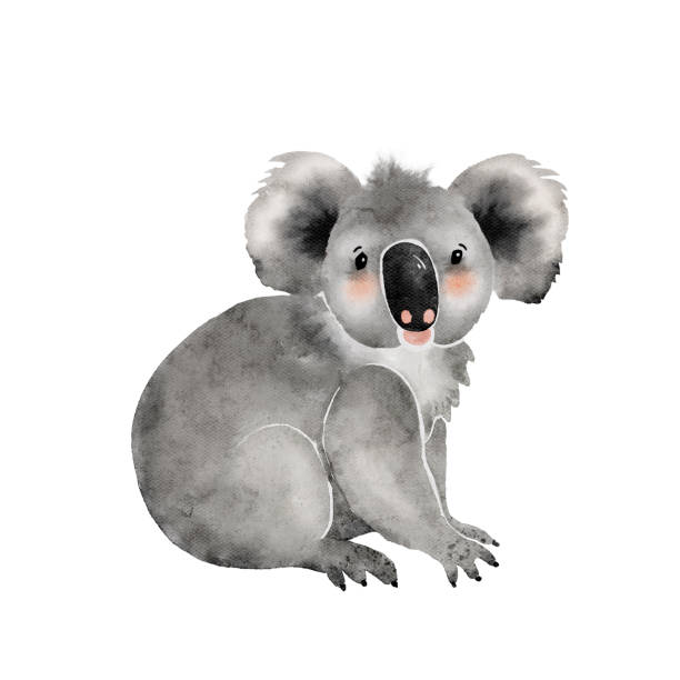 koala urocze zwierzątka z kreskówki, ilustracja akwarelowa. - marsupial stock illustrations