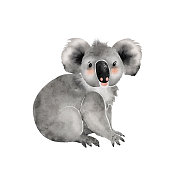 istock koala cute cartoon animal, watercolor illustration. 1398156219