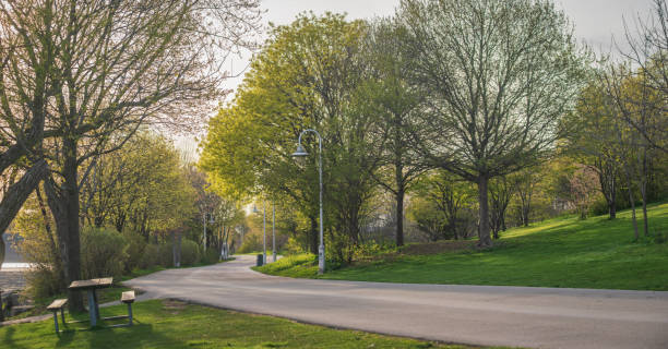 istock Hamilton, Ontario - Bayfront Park in the Early Evening 1398157180
