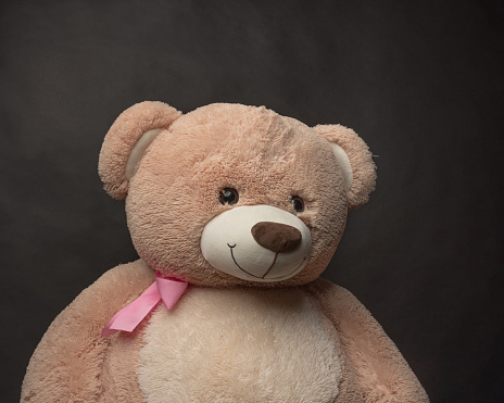 Studio Portrait of a Teddy Bear with a Black Backdrop