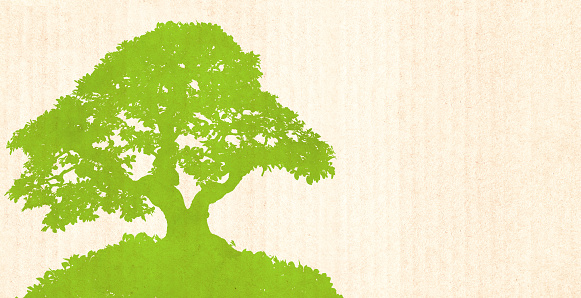 Horizontal Eco banner with tree silhouette on paper texture. Development of strategy approach to zero waste responsible consumption. Eco-friendly concept. Recycled carton material. Copy space for text