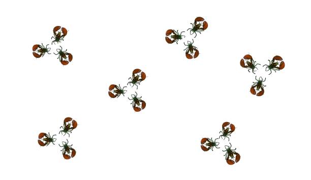 ornament of lobsters in groups of three in a checkerboard pattern on a white background, background