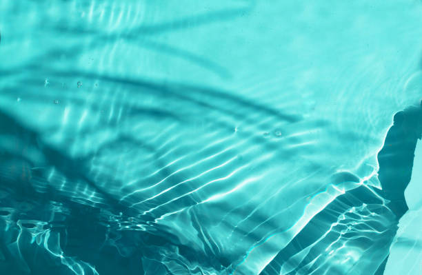 istock Summer exotic mock-up banner.	Natural moisturizer water toner herbal extract with shadow. 1398165324