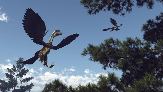 Archaeopteryx birds dinosaurs flying among pine trees - 3D render