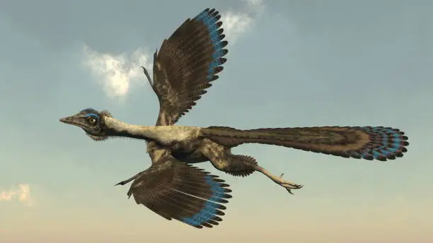 Archaeopteryx birds dinosaurs flying in the sky - 3D render