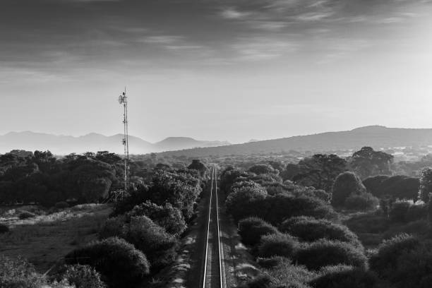 Panoramic of nature, in the middle crosses a train track.