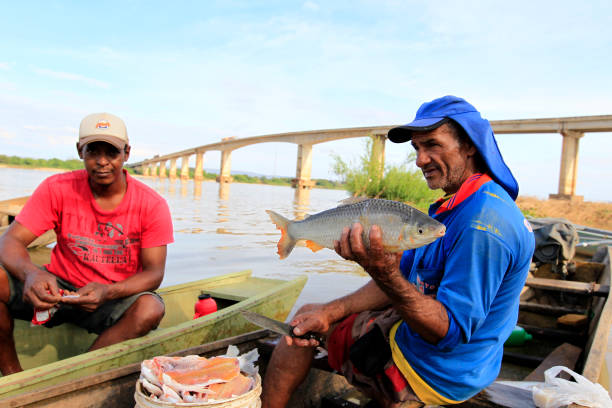 ibotirama, bahia, brazil - may 18, 2022: fishermen on a boat on the Sao Francisco river in the city of Ibotirama, in western Bahia.
