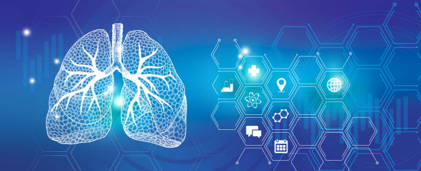 Graphic illustration of Lungs organ visualization. Healthcare concept background with medical icons. Human internal organ Lungs disease research and recovery. Blue template palette, copy space for text. pulmonary artery stock illustrations