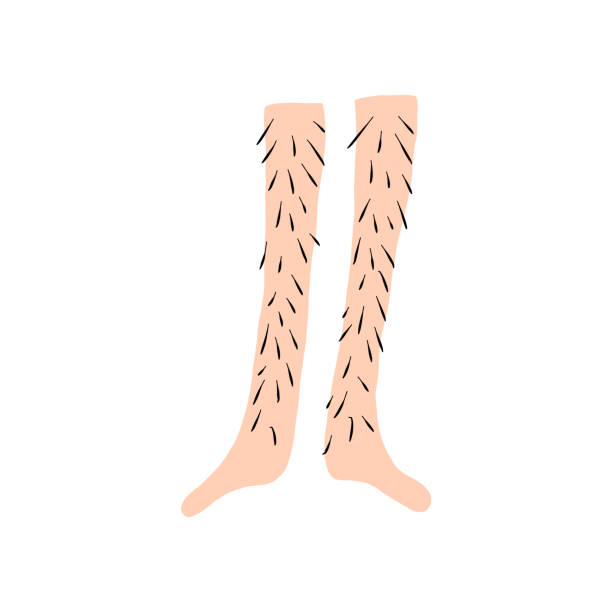 1,539 Hairy Legs Illustrations & Clip Art - iStock | Hiker with hairy legs,  Hairy legs woman, Woman with hairy legs