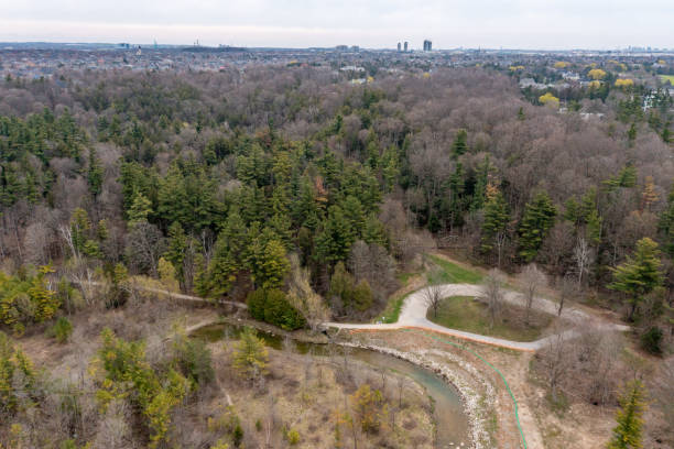 istock Boyd Conservation Park in Springtime, Vaughan, Ontario, Canada 1398179484
