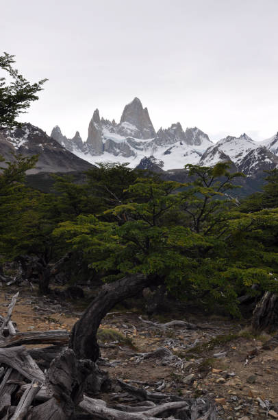 istock Monte Fitz Roy, Patagonia, Argentina. 1398182143