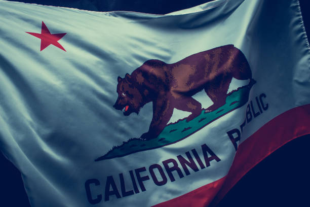 istock Flag of California 1398182522