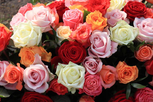 istock Colorful wedding roses 1398182539