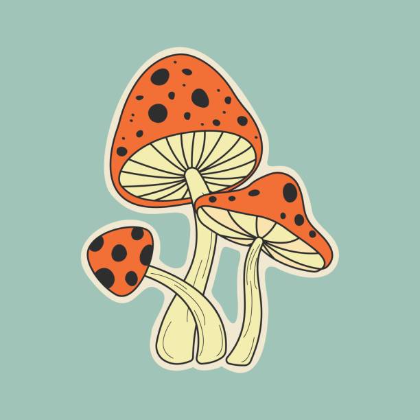 illustrazioni stock, clip art, cartoni animati e icone di tendenza di disegnato a mano di funghi agarici mosca. design piatto. - fungus mushroom autumn fly agaric mushroom