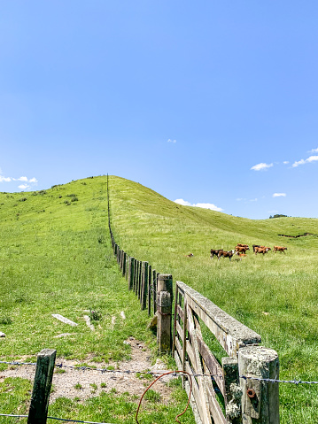 Farming landscape in rural Aberdeenshire, Scotland, on a summer's day.